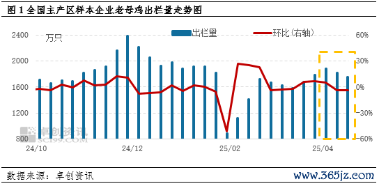 易云达配资 从惜售到加速出清 看二季度老母鸡市场的潮起潮落