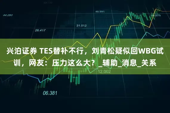 兴泊证券 TES替补不行，刘青松疑似回WBG试训，网友：压力这么大？_辅助_消息_关系
