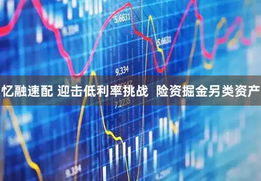 忆融速配 迎击低利率挑战  险资掘金另类资产