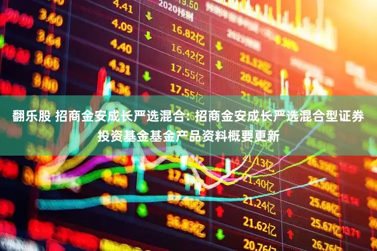 翻乐股 招商金安成长严选混合: 招商金安成长严选混合型证券投资基金基金产品资料概要更新