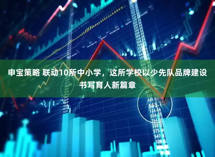 申宝策略 联动10所中小学，这所学校以少先队品牌建设书写育人新篇章